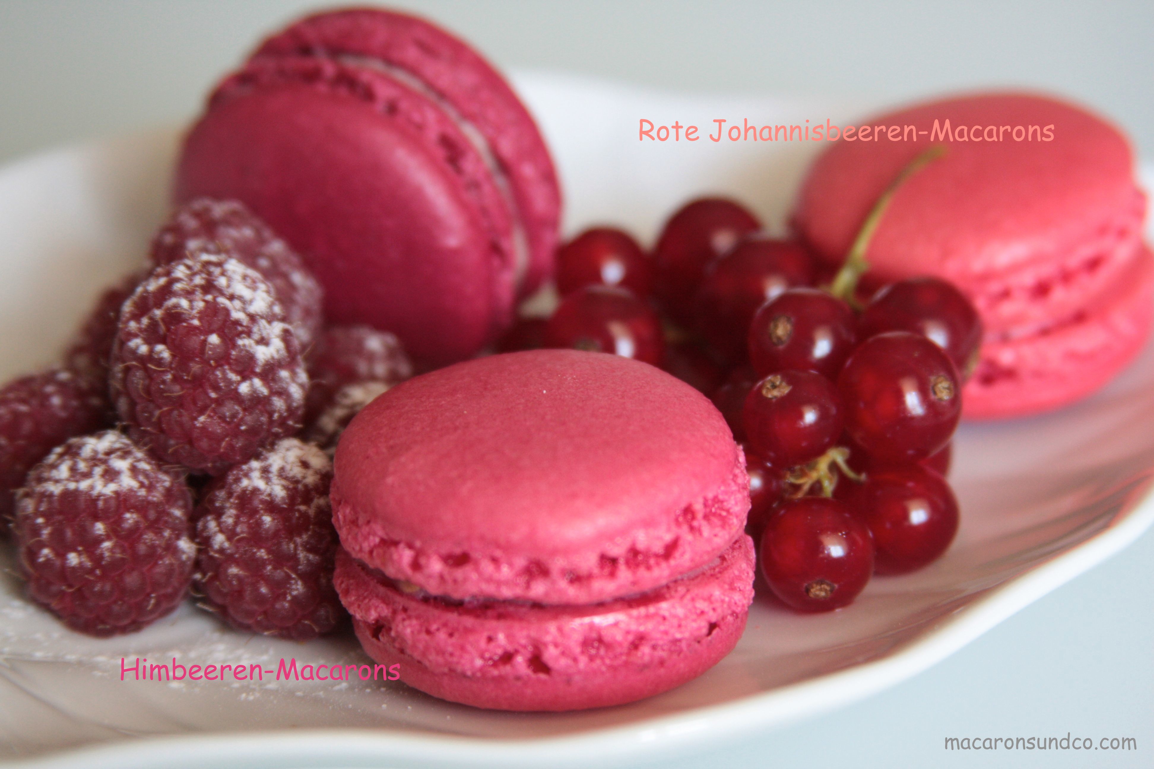 Macarons framboise et groseille IMG_0036