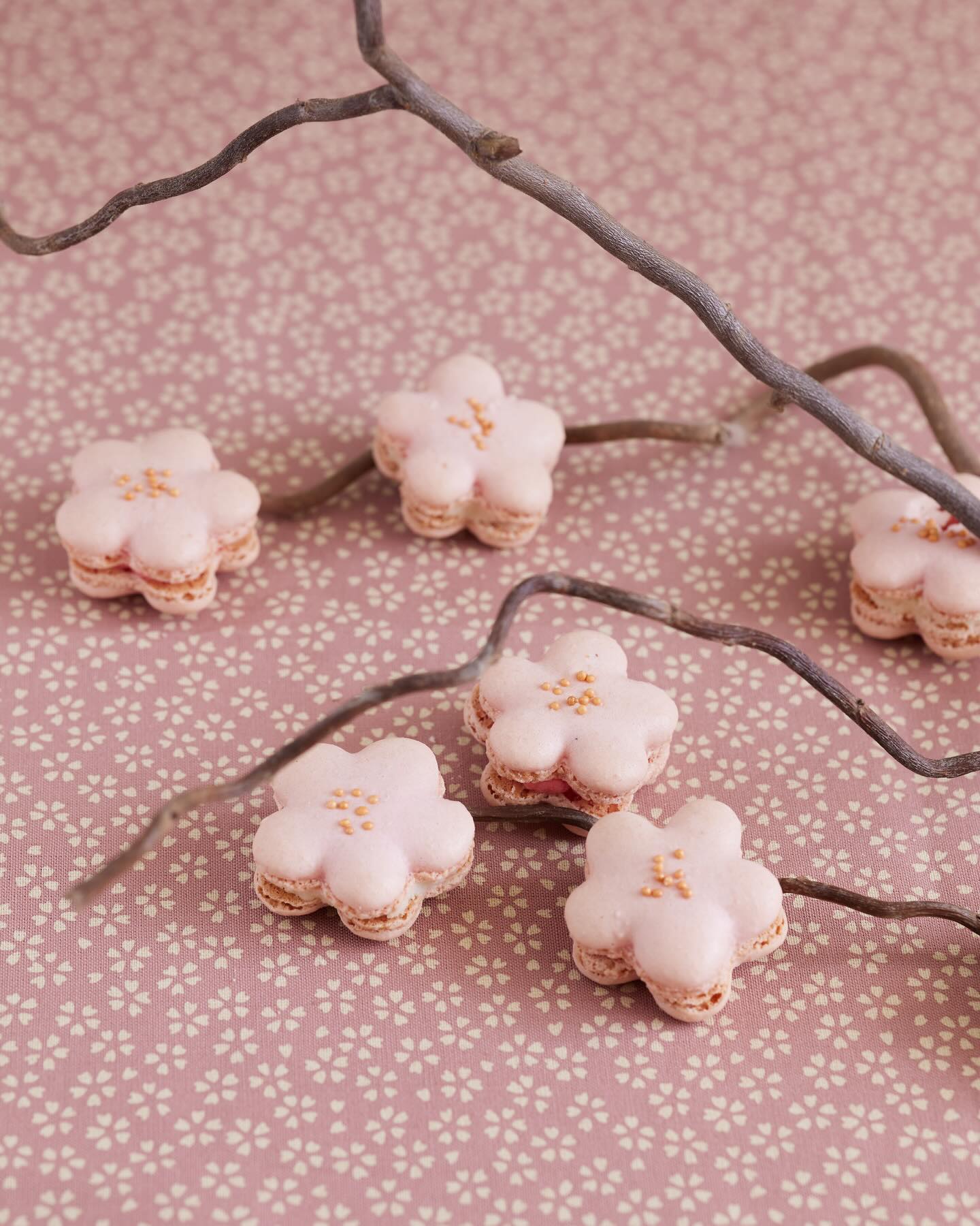 🌸 Printemps 🌷Spring 🌺 Frühling 

#macarons #französischbacken #backkurs #stuttgart #macaronsundco