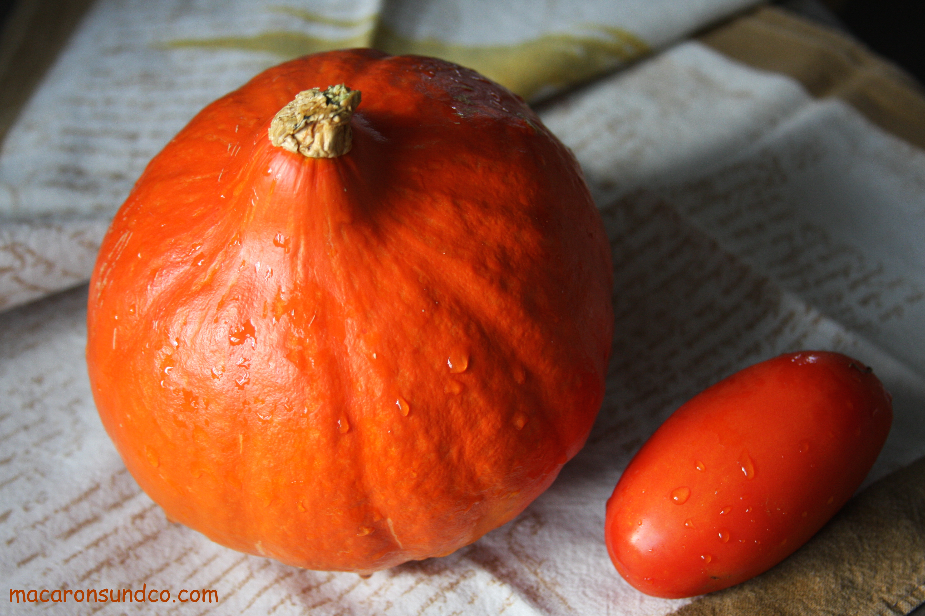 Courge IMG_0474