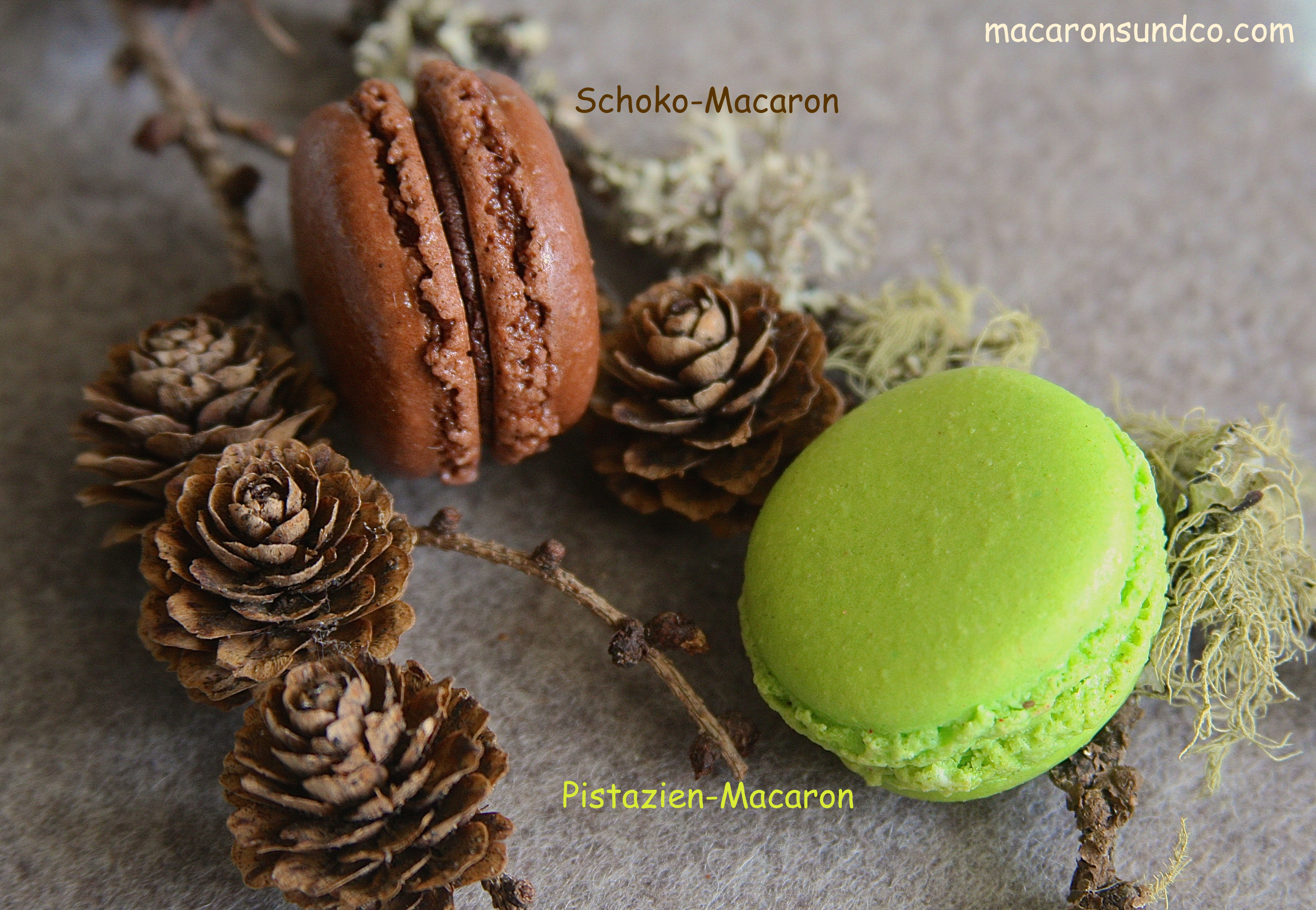 Macarons chocolat pistache IMG_0614