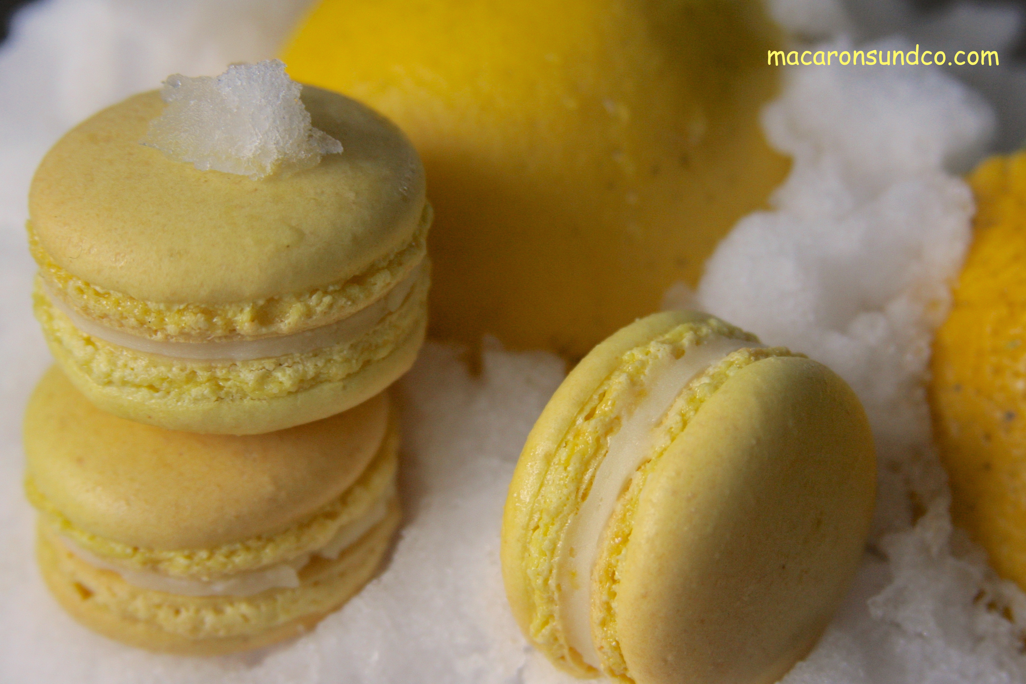 Macarons citron IMG_2080