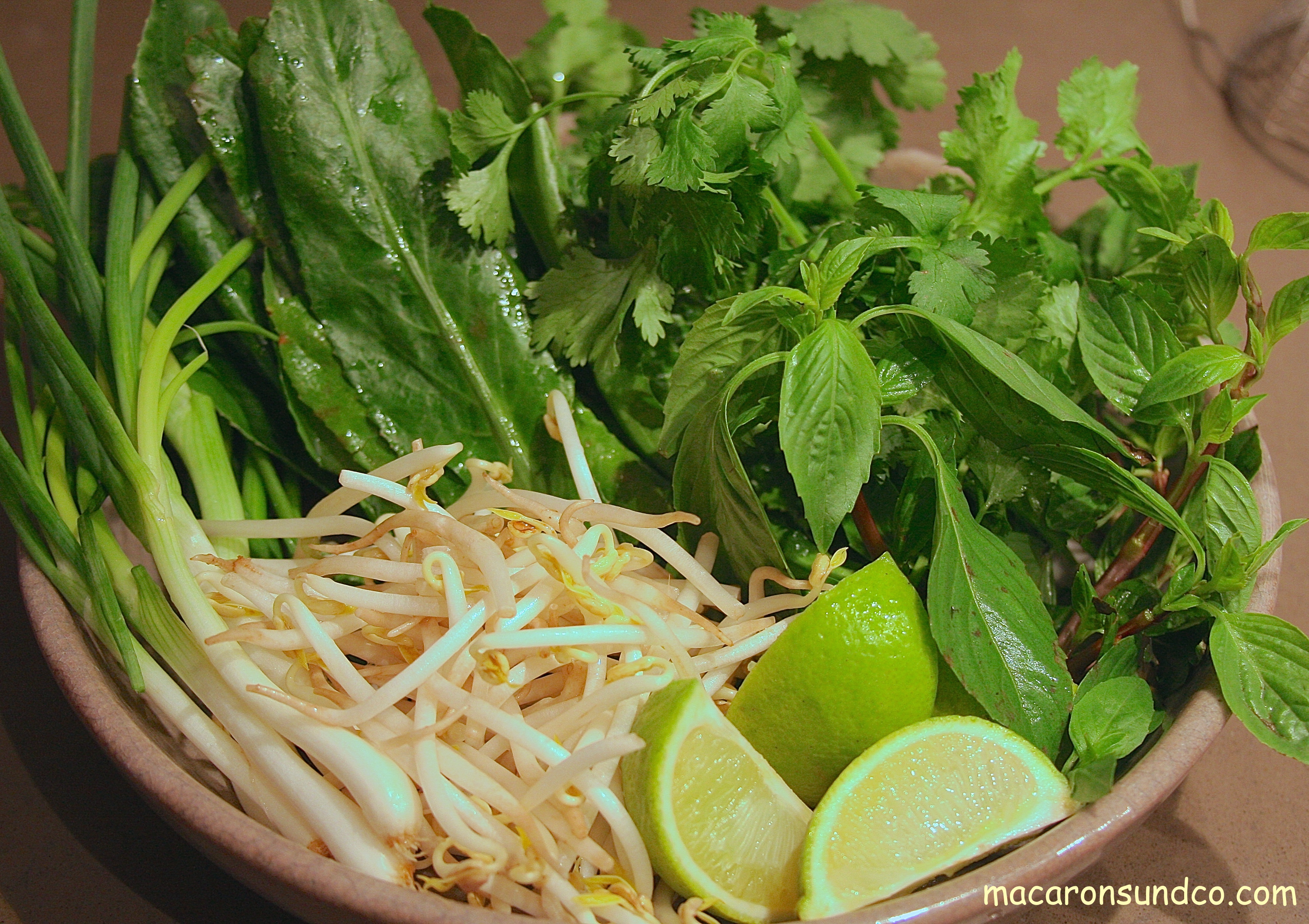 PHO herbes IMG_0587