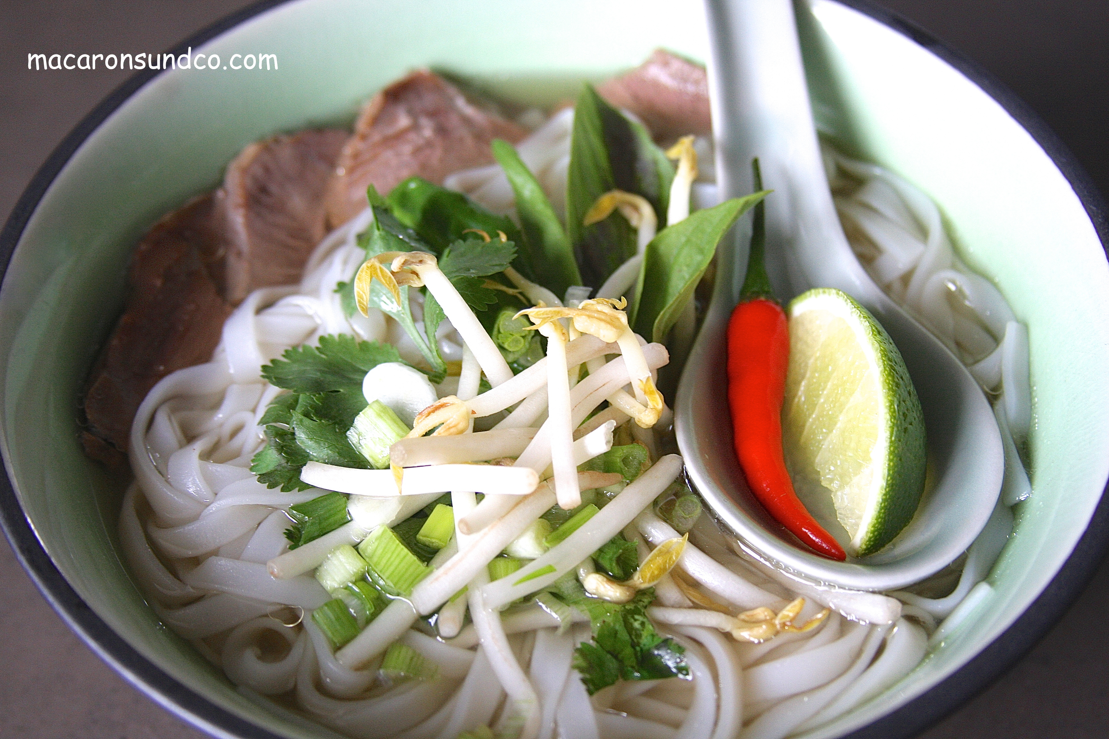 PHO IMG_2246