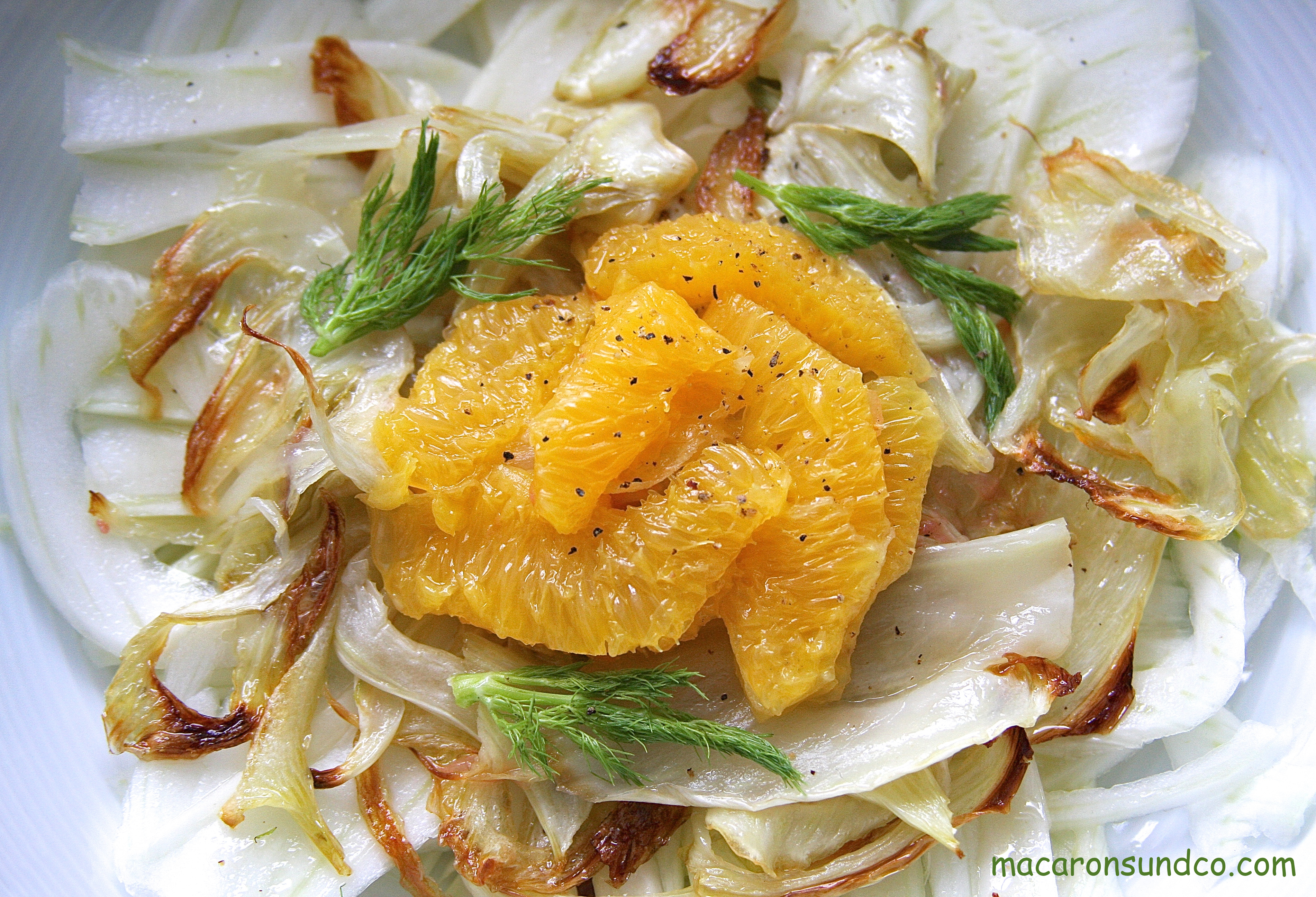 Salade Fenouil IMG_2046