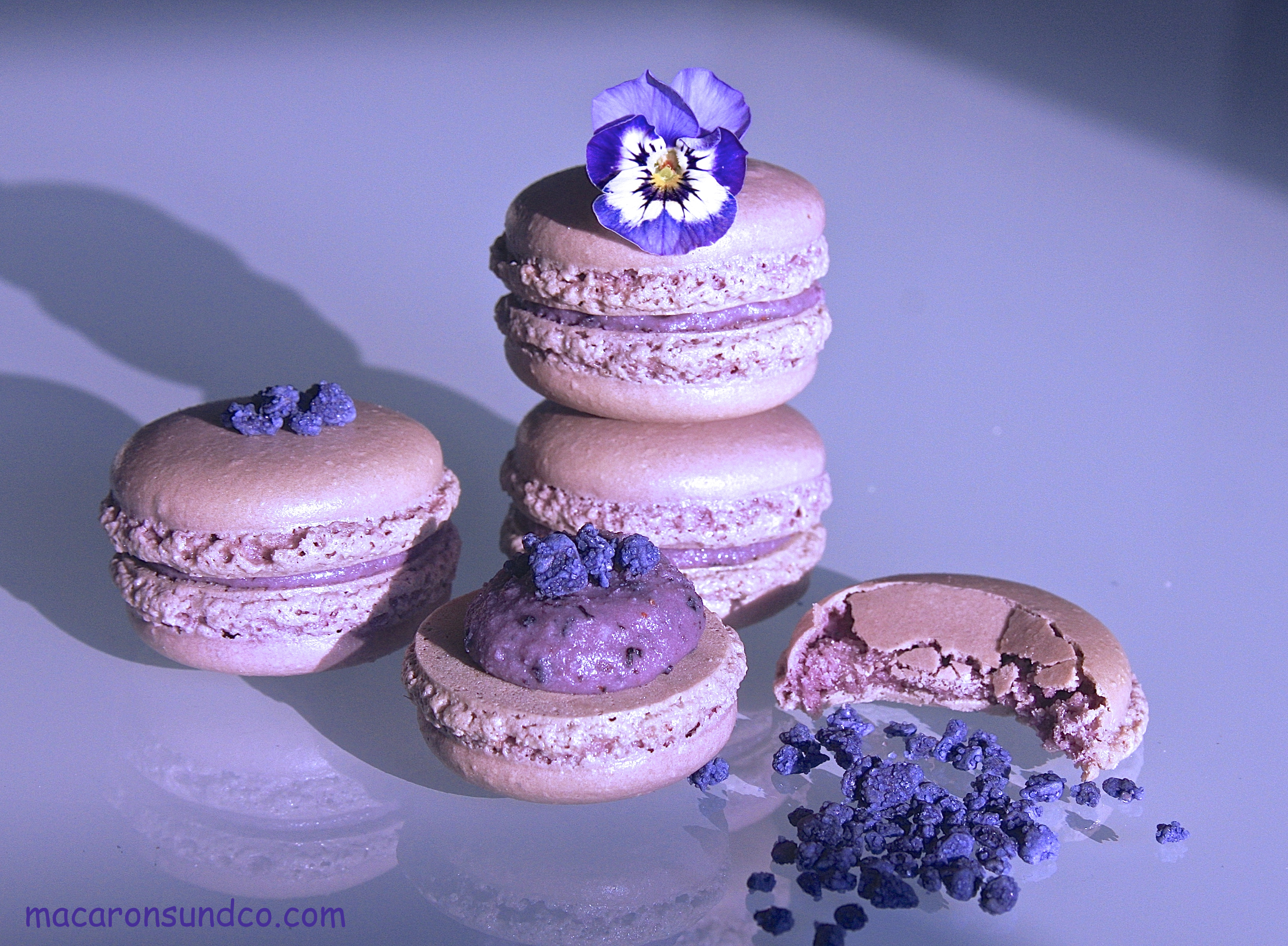 Macarons myrtille violette IMG_2434