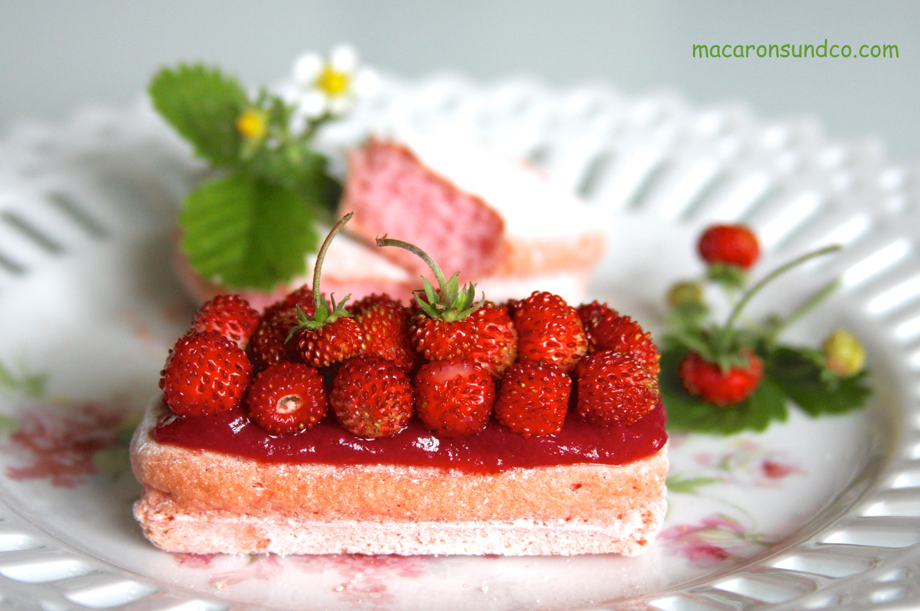 Biscuit rose rhubarbe fraises des bois IMG_2997