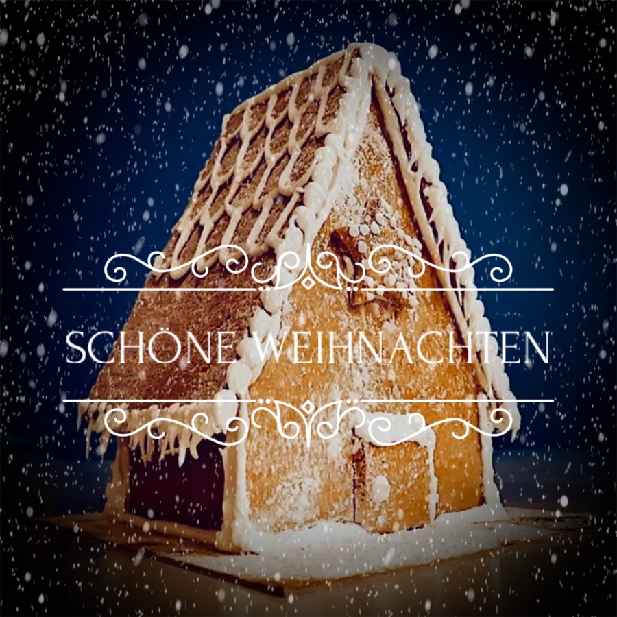 ✨🎄⭐️🎅🏻🌟🎁💫